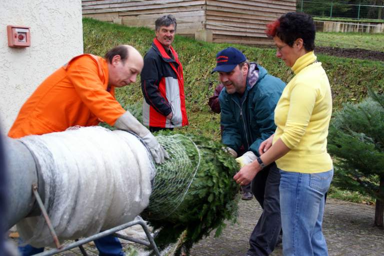 Weihnachtsbaumverkauf 2008 Bild Nr.019